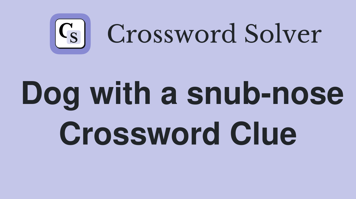 Dog with a snub-nose Crossword Clue