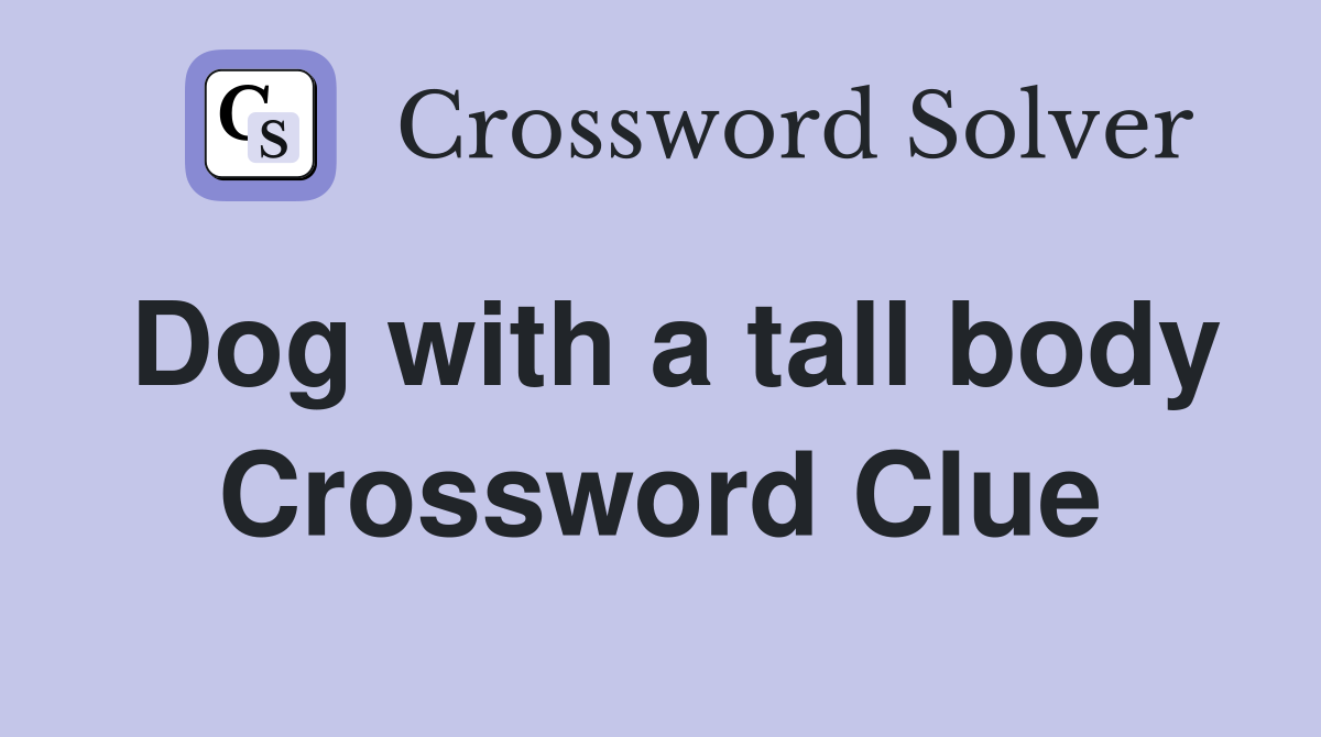 Dog with a tall body Crossword Clue