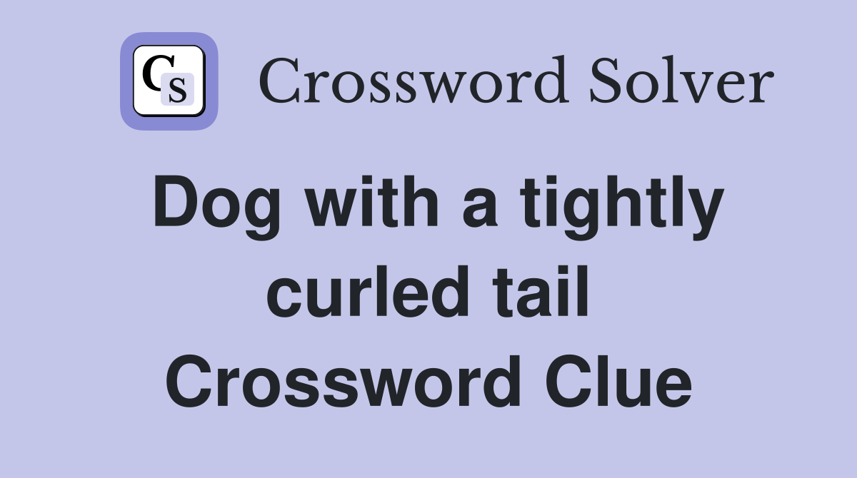 Dog with a tightly curled tail Crossword Clue