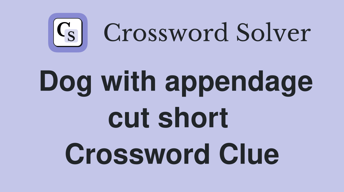Dog with appendage cut short  Crossword Clue