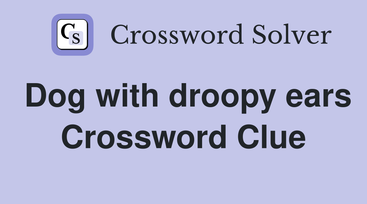 Dog with droopy ears Crossword Clue