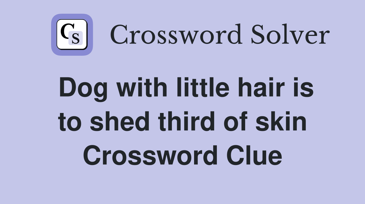 Dog with little hair is to shed third of skin Crossword Clue