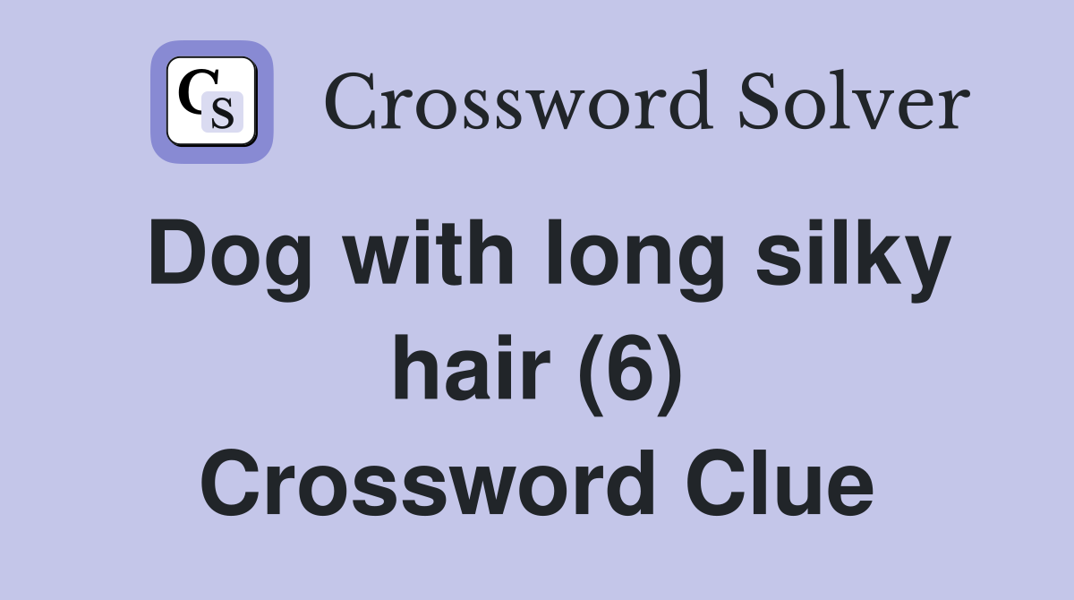 Dog with long silky hair (6) Crossword Clue