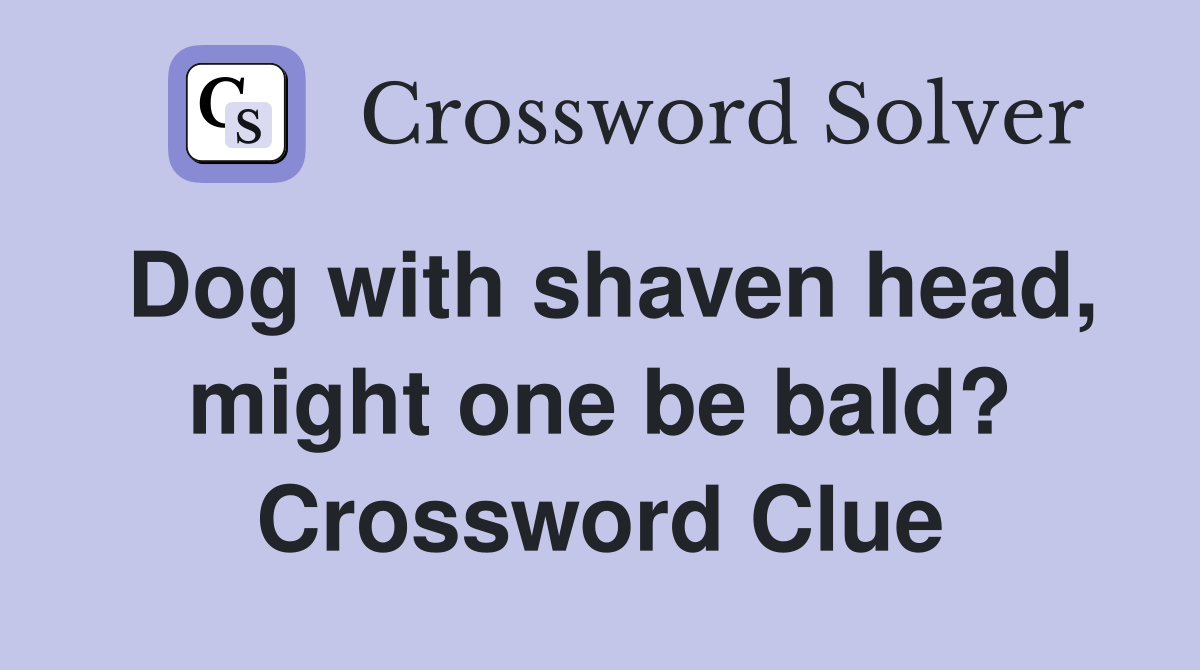 Dog with shaven head, might one be bald? Crossword Clue