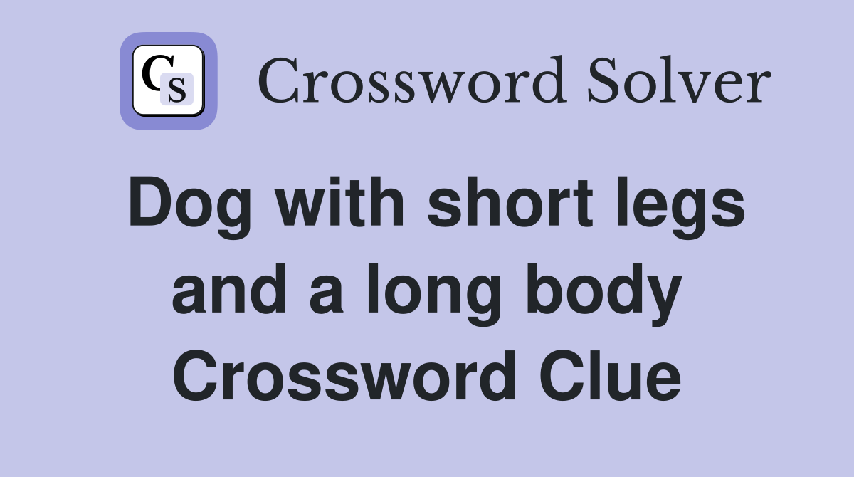Dog with short legs and a long body Crossword Clue