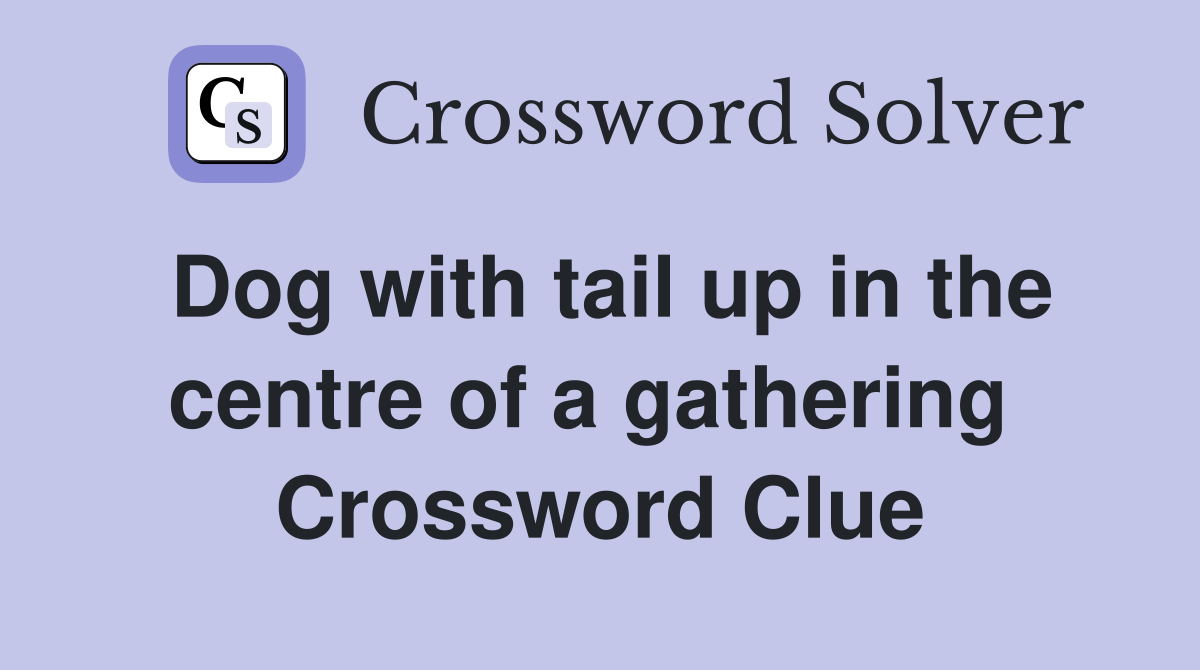 Dog with tail up in the centre of a gathering  Crossword Clue