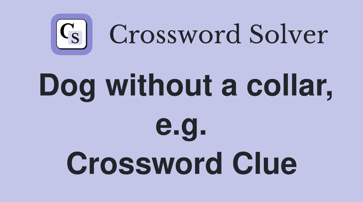 Dog without a collar, e.g. Crossword Clue