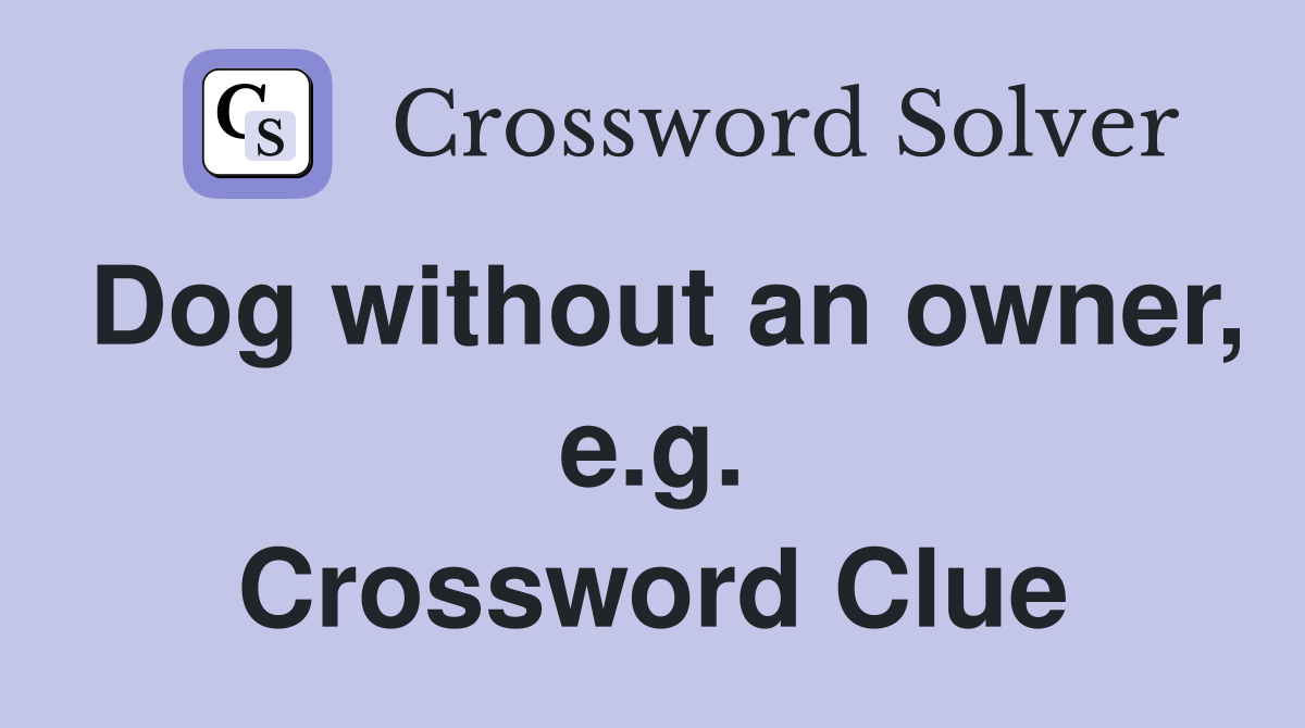Dog without an owner, e.g. Crossword Clue