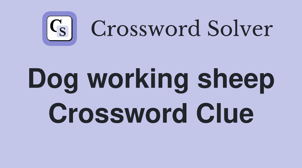 Dog working sheep  Crossword Clue