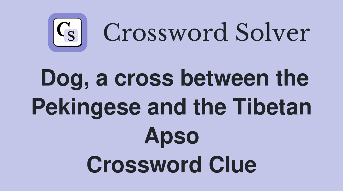 Dog, a cross between the Pekingese and the Tibetan Apso Crossword Clue