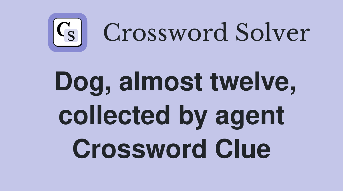 Dog, almost twelve, collected by agent Crossword Clue