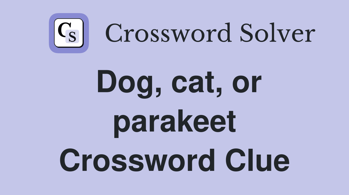 Dog, cat, or parakeet Crossword Clue