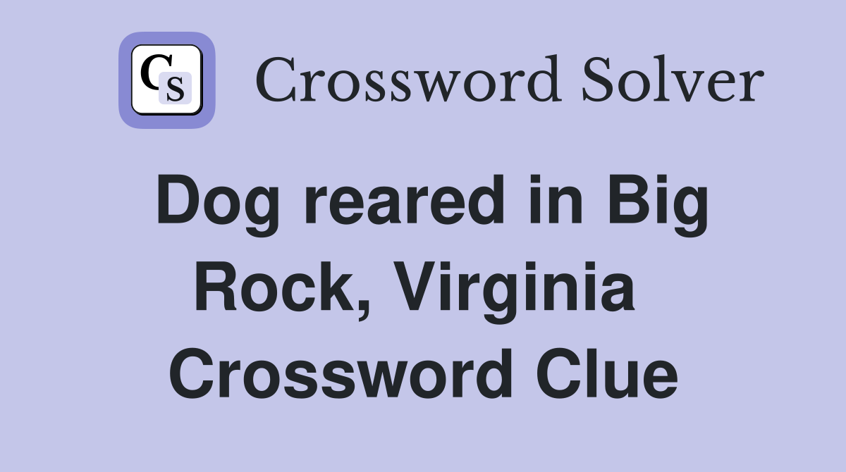 Dog reared in Big Rock, Virginia  Crossword Clue