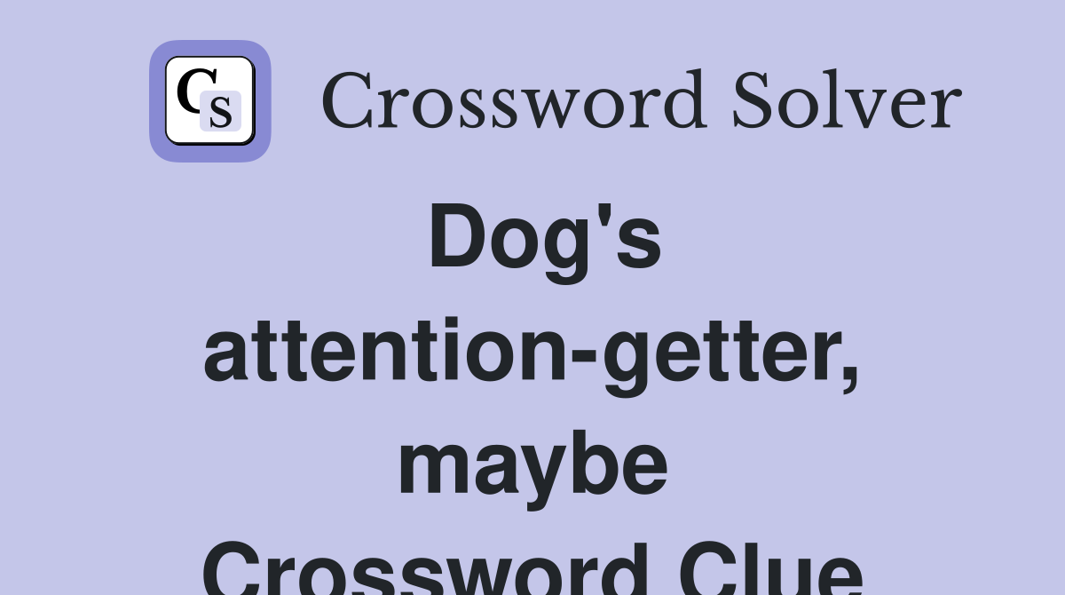 Dog's attention-getter, maybe Crossword Clue