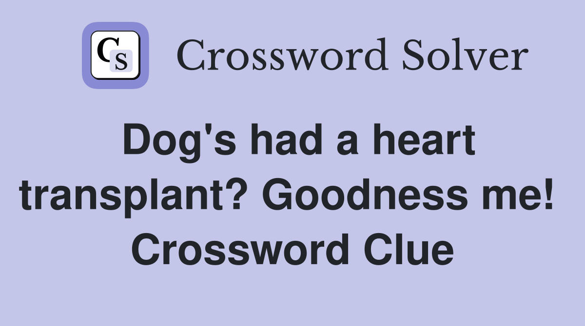 Dog's had a heart transplant? Goodness me!  Crossword Clue