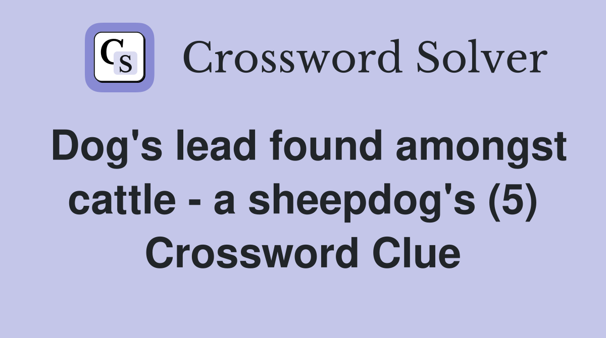 Dog's lead found amongst cattle - a sheepdog's (5) Crossword Clue
