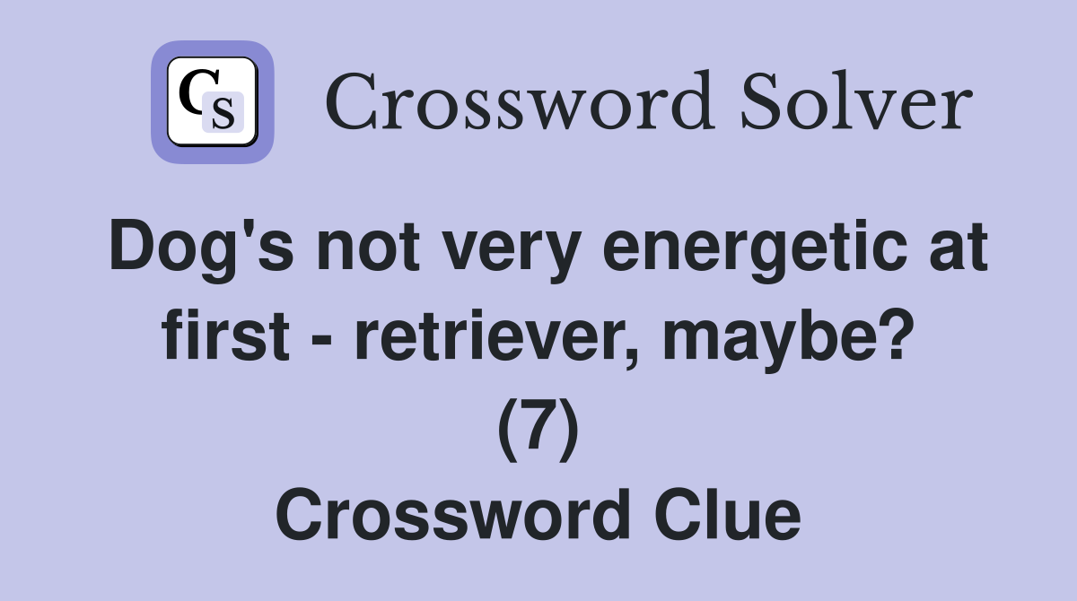 Dog's not very energetic at first - retriever, maybe? (7) Crossword Clue