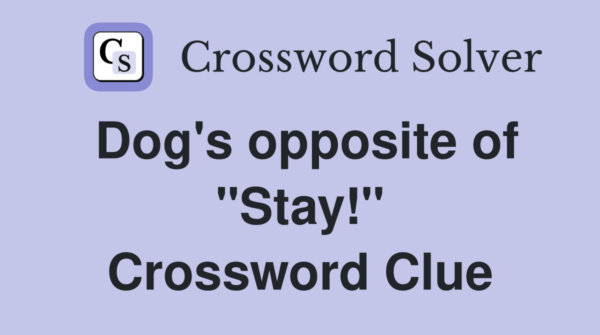 Dog's opposite of "Stay!" Crossword Clue