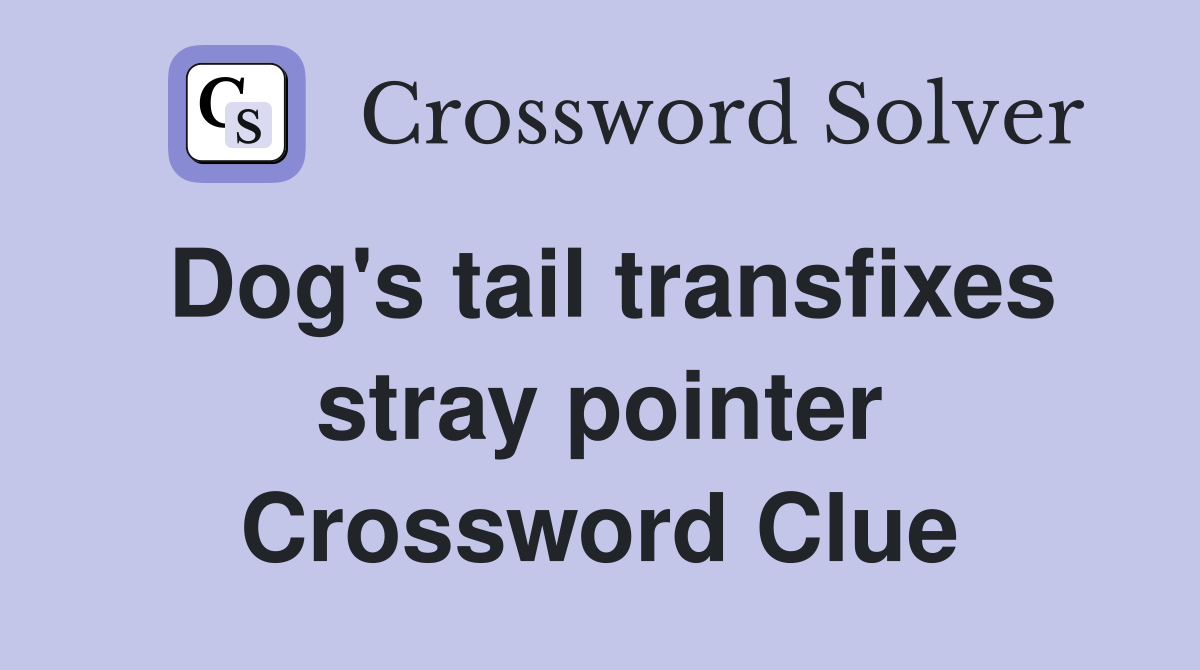 Dog's tail transfixes stray pointer Crossword Clue
