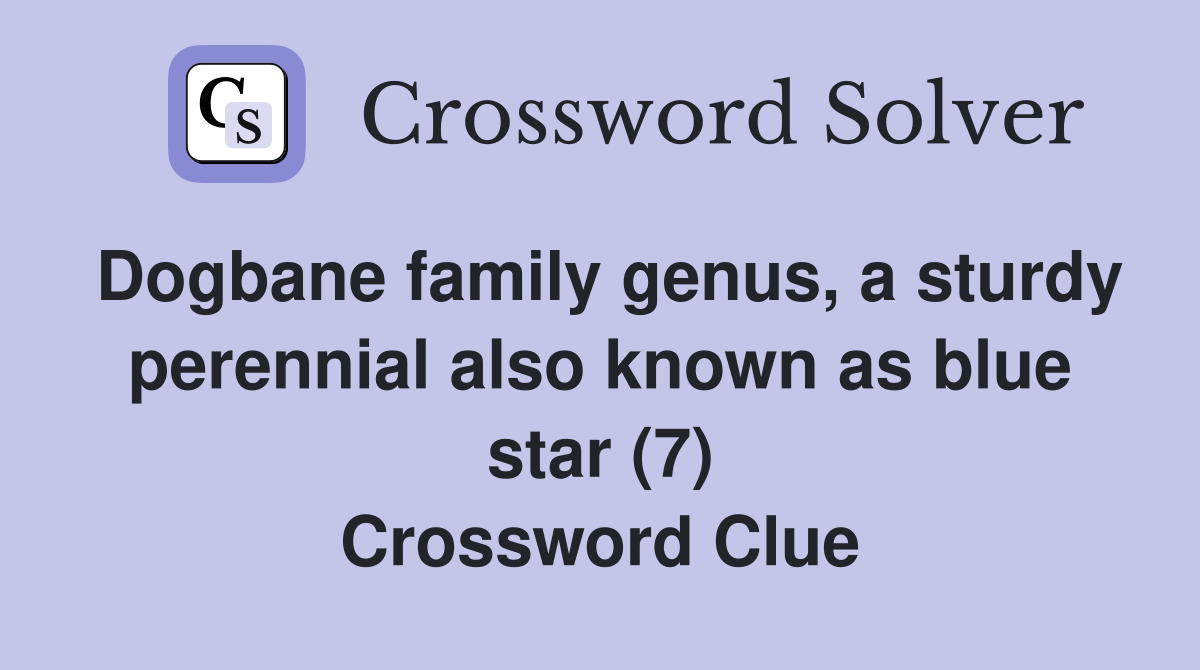 Dogbane family genus, a sturdy perennial also known as blue star (7) Crossword Clue