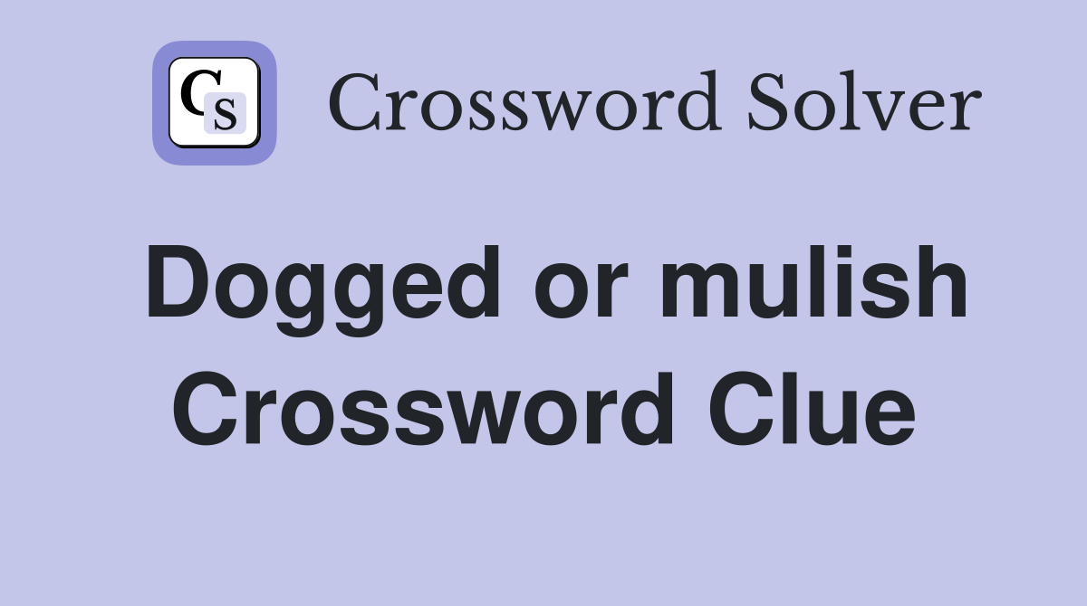 Dogged or mulish Crossword Clue