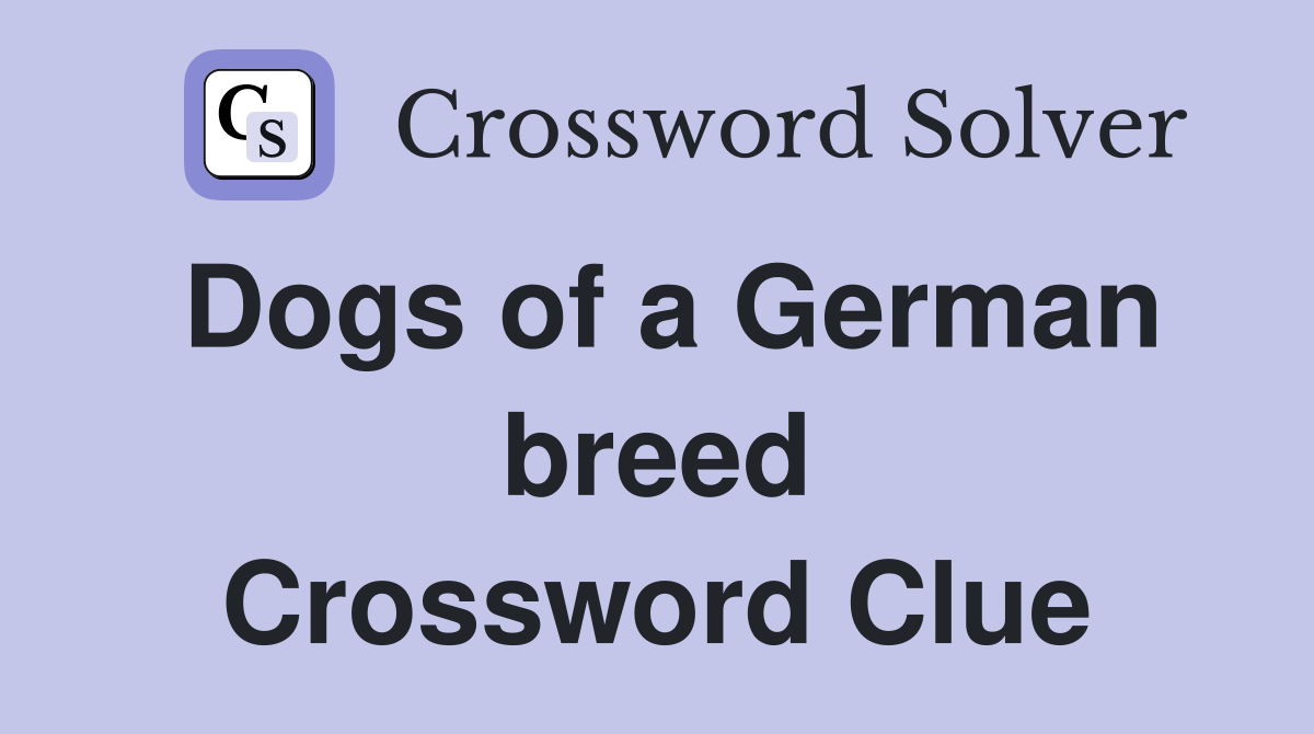 Dogs of a German breed Crossword Clue