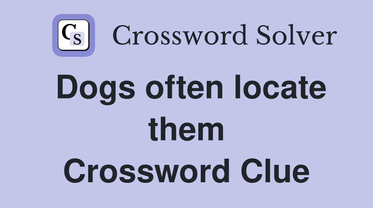 Dogs often locate them Crossword Clue