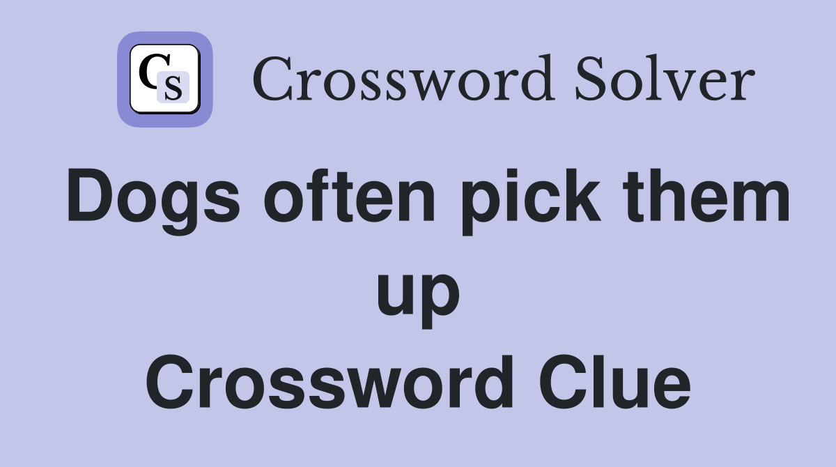 Dogs often pick them up Crossword Clue