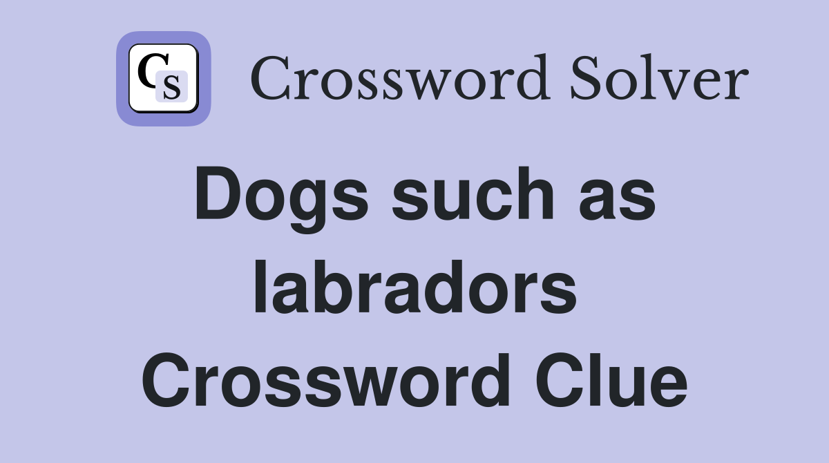 Dogs such as labradors Crossword Clue