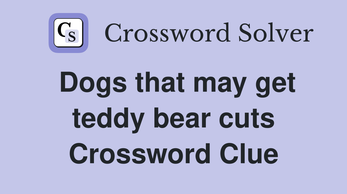 Dogs that may get teddy bear cuts Crossword Clue