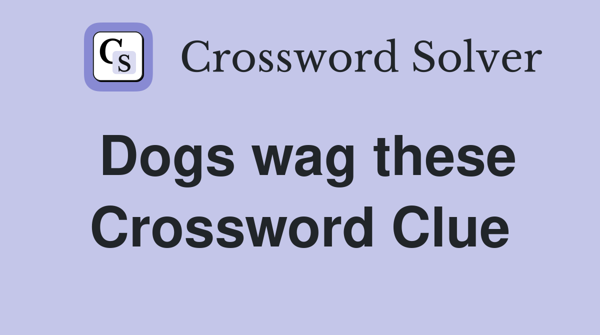 Dogs wag these Crossword Clue
