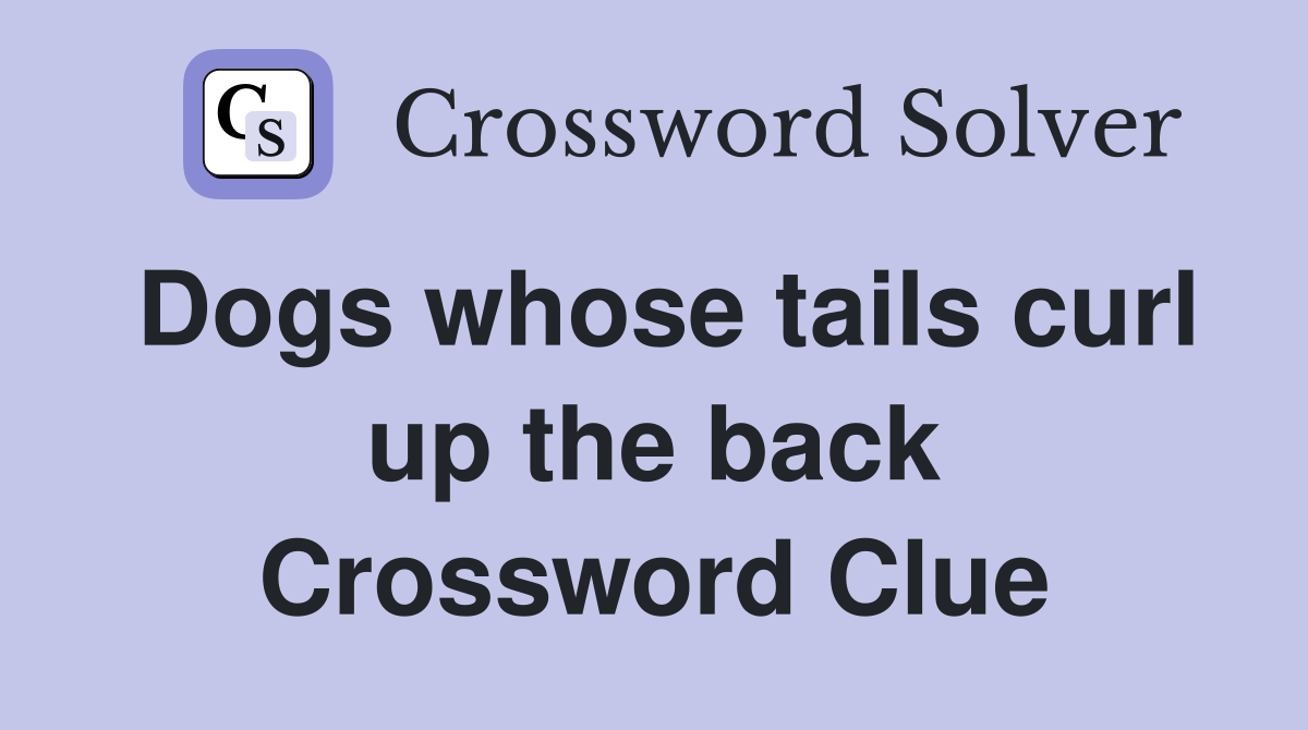 Dogs whose tails curl up the back Crossword Clue