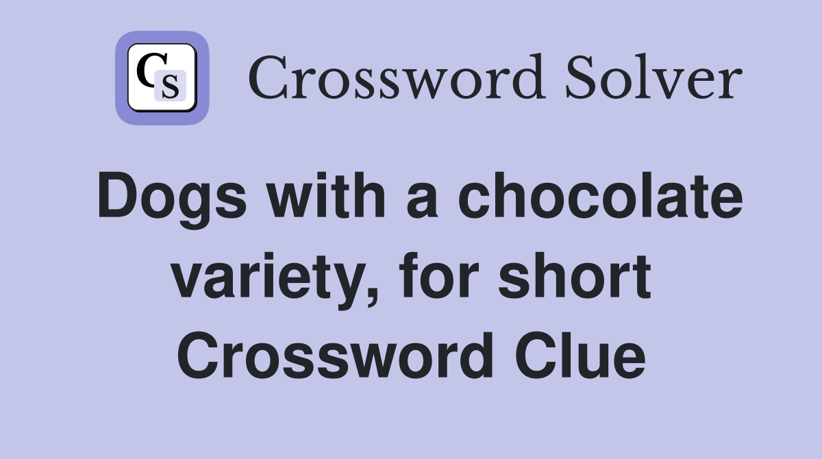 Dogs with a chocolate variety, for short Crossword Clue