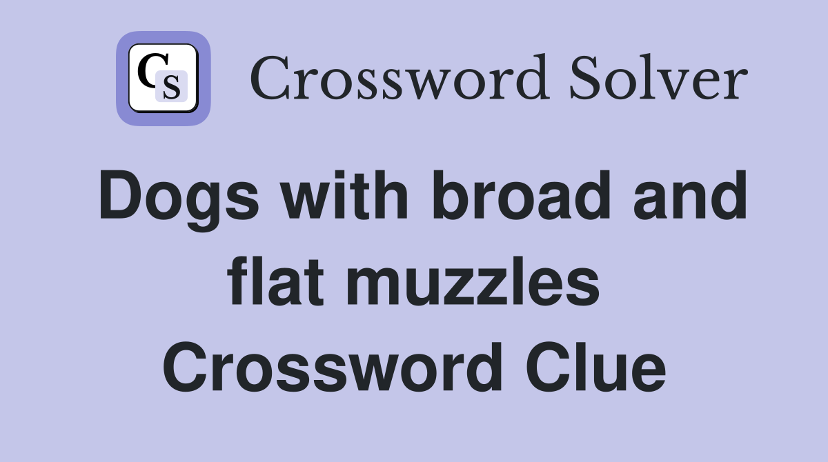 Dogs with broad and flat muzzles Crossword Clue