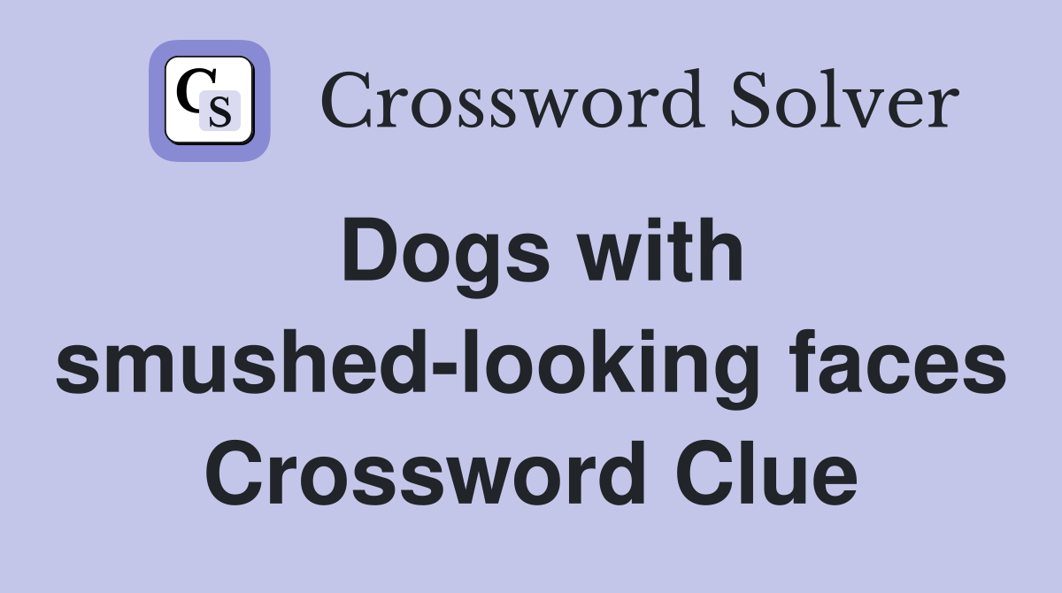 Dogs with smushed-looking faces Crossword Clue