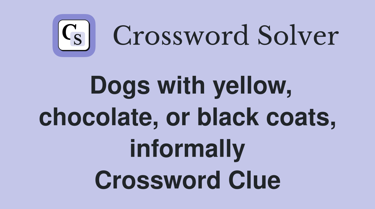 Dogs with yellow, chocolate, or black coats, informally Crossword Clue