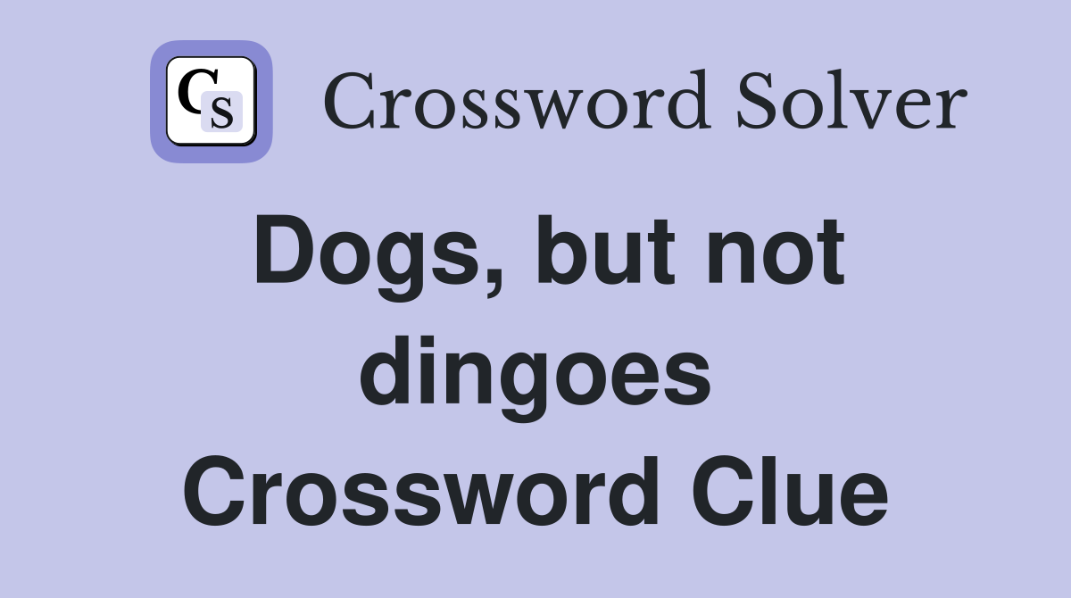 Dogs, but not dingoes Crossword Clue