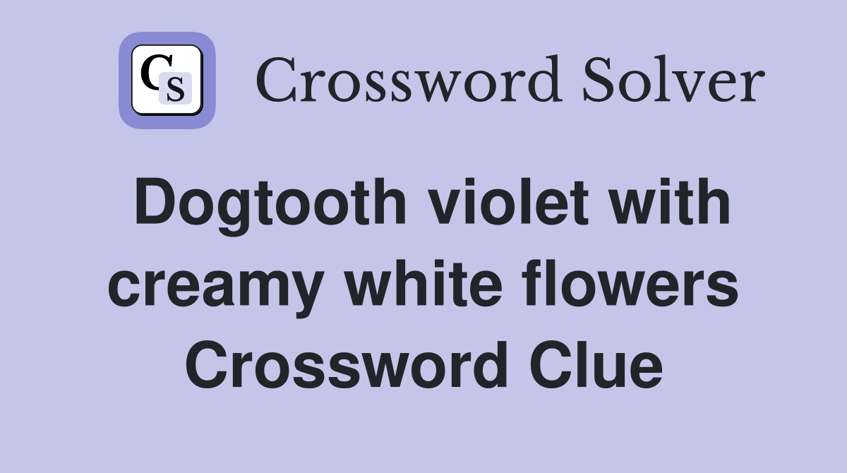 Dogtooth violet with creamy white flowers Crossword Clue