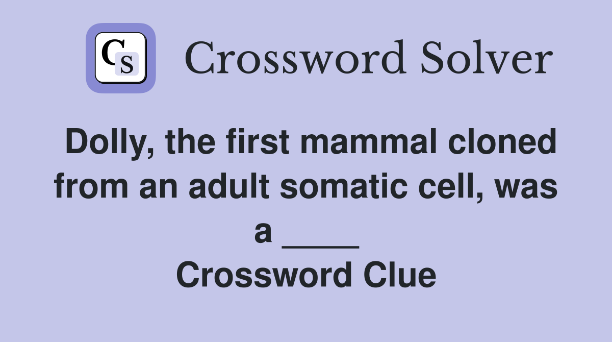 Dolly, the first mammal cloned from an adult somatic cell, was a ____ Crossword Clue