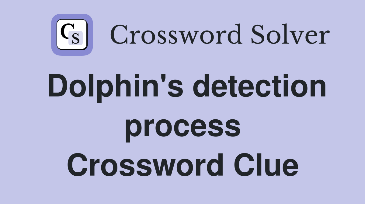Dolphin's detection process Crossword Clue
