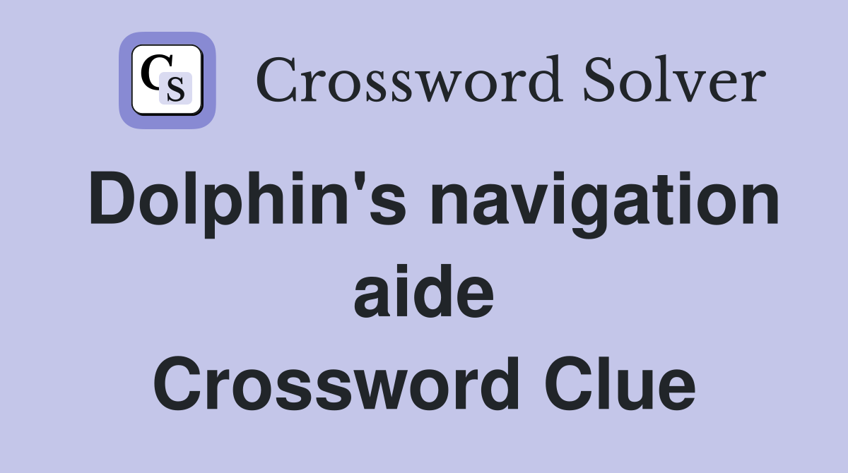 Dolphin's navigation aide Crossword Clue