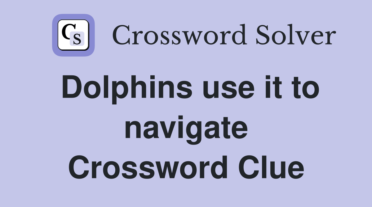 Dolphins use it to navigate Crossword Clue