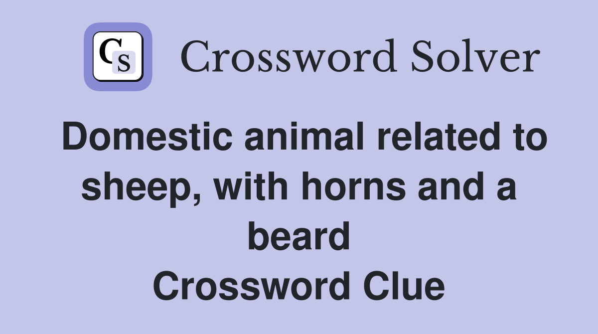 Domestic animal related to sheep, with horns and a beard Crossword Clue