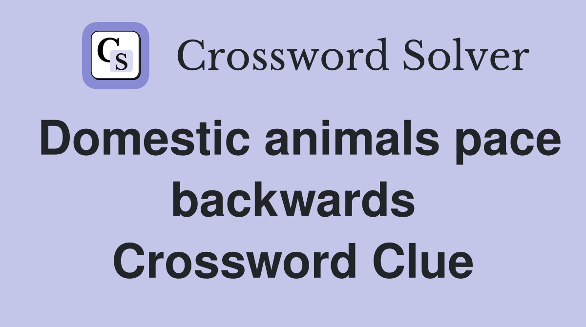 Domestic animals pace backwards Crossword Clue