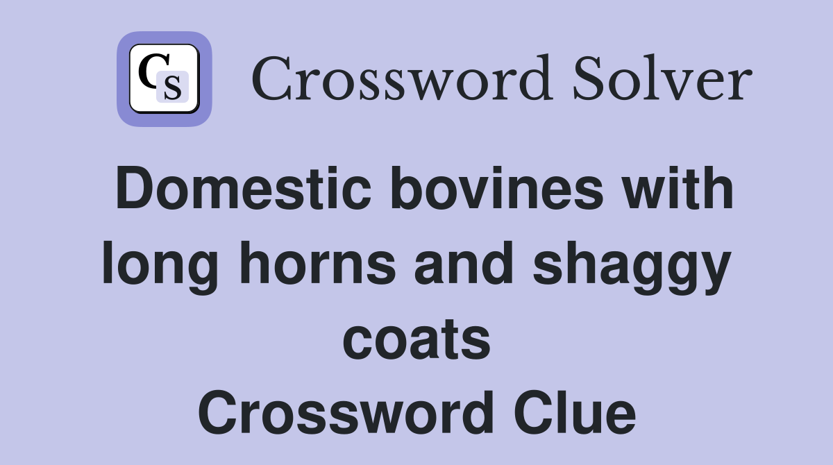 Domestic bovines with long horns and shaggy coats Crossword Clue