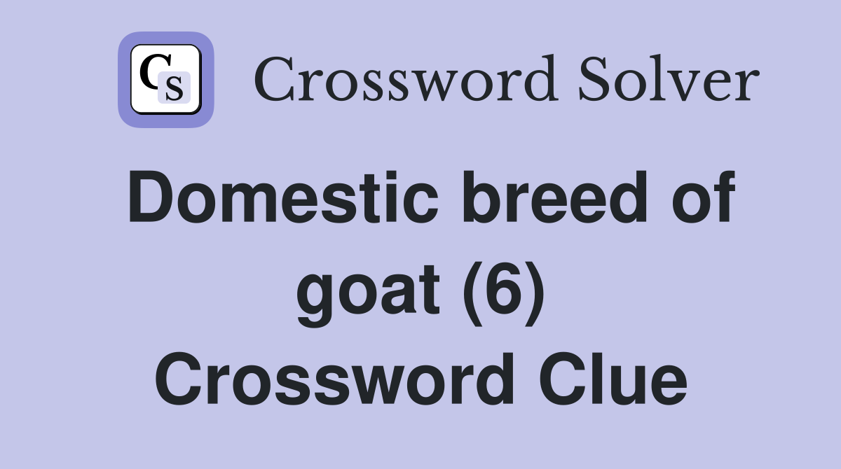 Domestic breed of goat (6) Crossword Clue