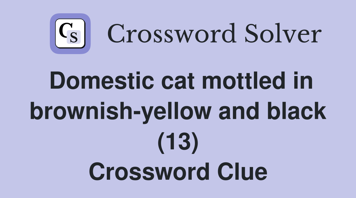 Domestic cat mottled in brownish-yellow and black (13) Crossword Clue