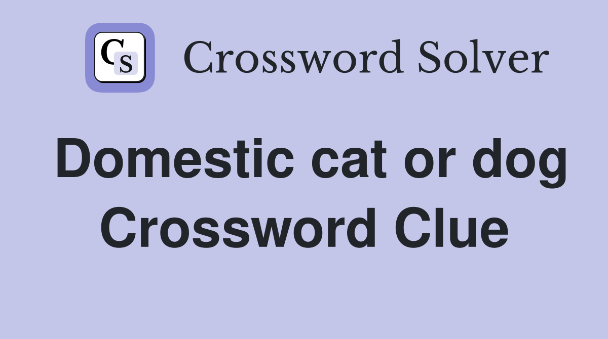 Domestic cat or dog Crossword Clue