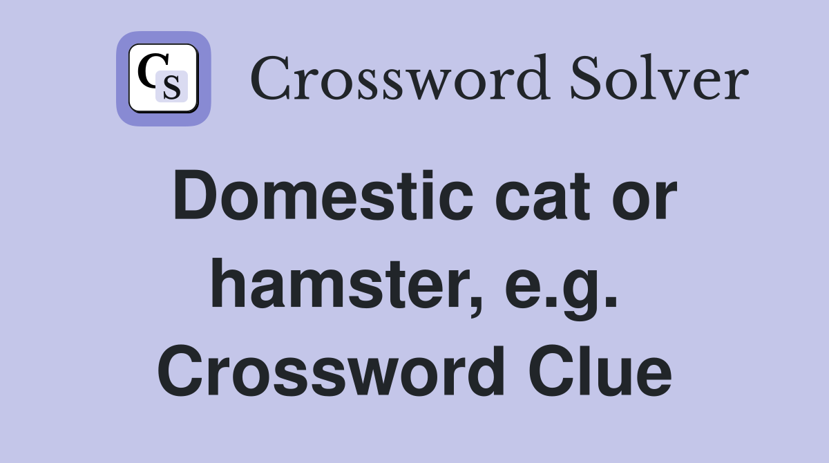 Domestic cat or hamster, e.g. Crossword Clue