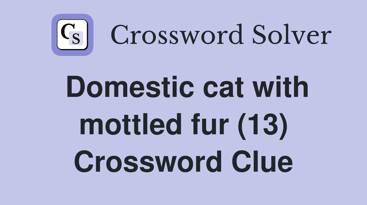 Domestic cat with mottled fur (13) Crossword Clue